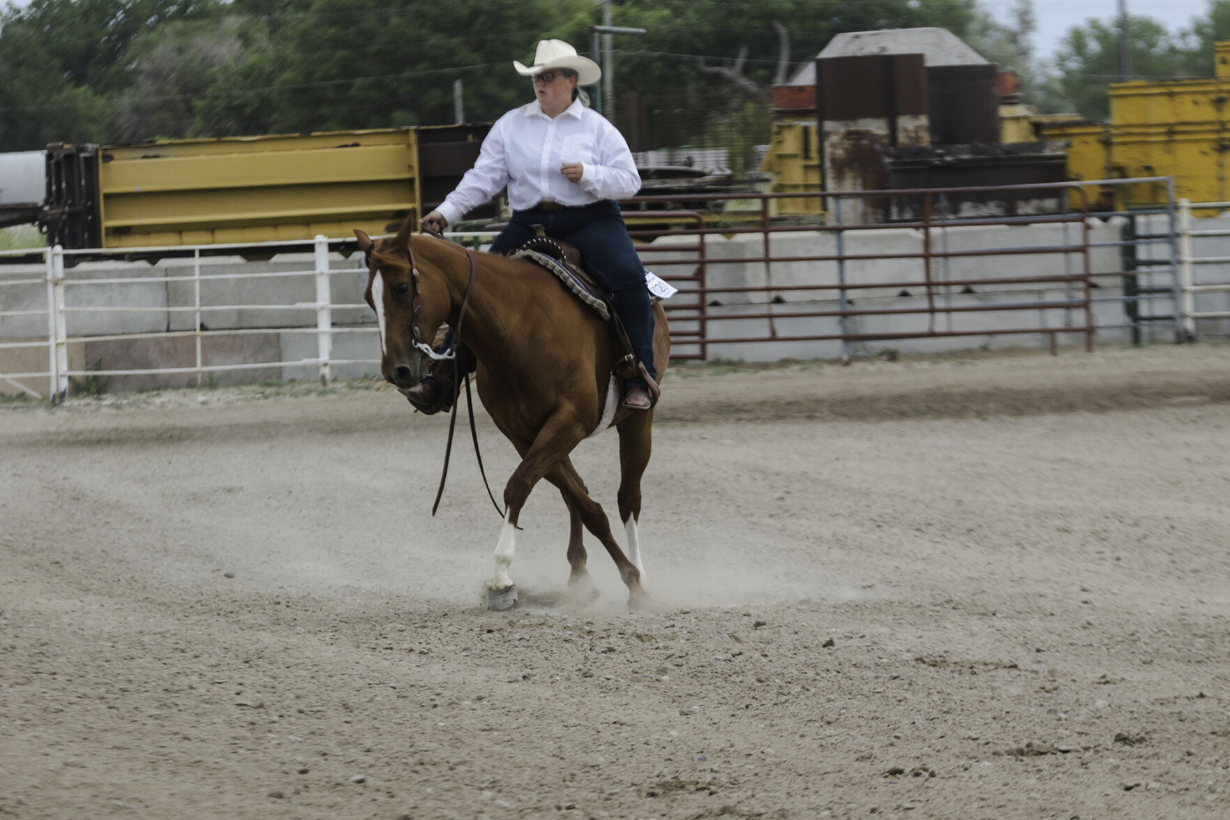 PHOTOS: 4-H Horse Show 2020